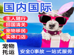 奇台江航空托运国际宠物托运 【国